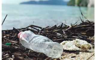 A Plastic Bottle Polluting The Shore Near A Body Of Water