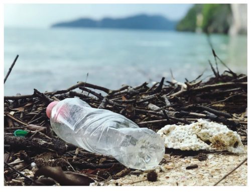 Are Plastic Offsets the Solution to Your Organization’s Plastic Pollution?