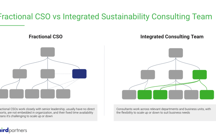 chart fractional CSA vs an integrated consulting team