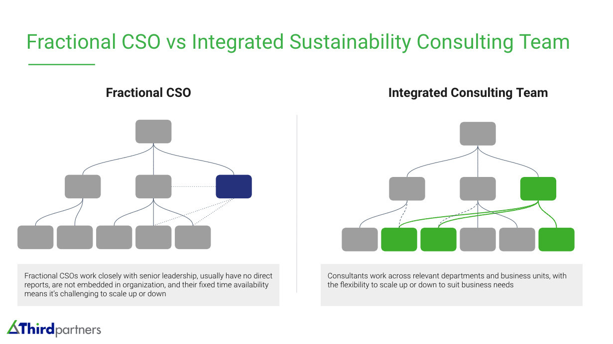 chart fractional CSA vs an integrated consulting team