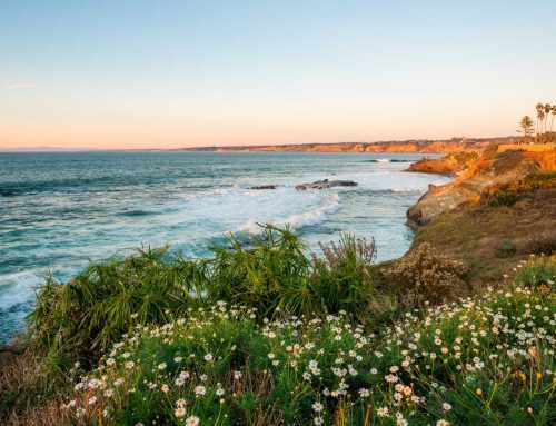 Third Partners Releases Streamlined SB-261 Compliance Strategy for Companies Ahead of California Climate Risk Reporting Deadline