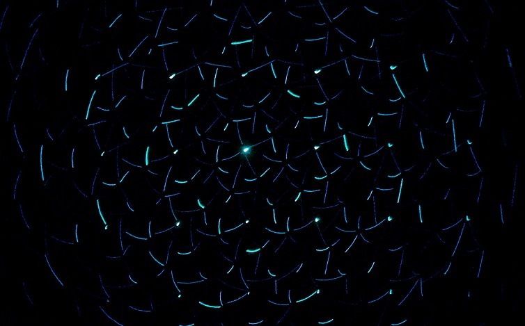 Image of Innovation Must Deliver Real Value