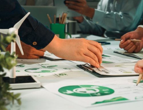 EcoVadis Made Easy: How Third Partners Helps Companies Improve Their EcoVadis Score