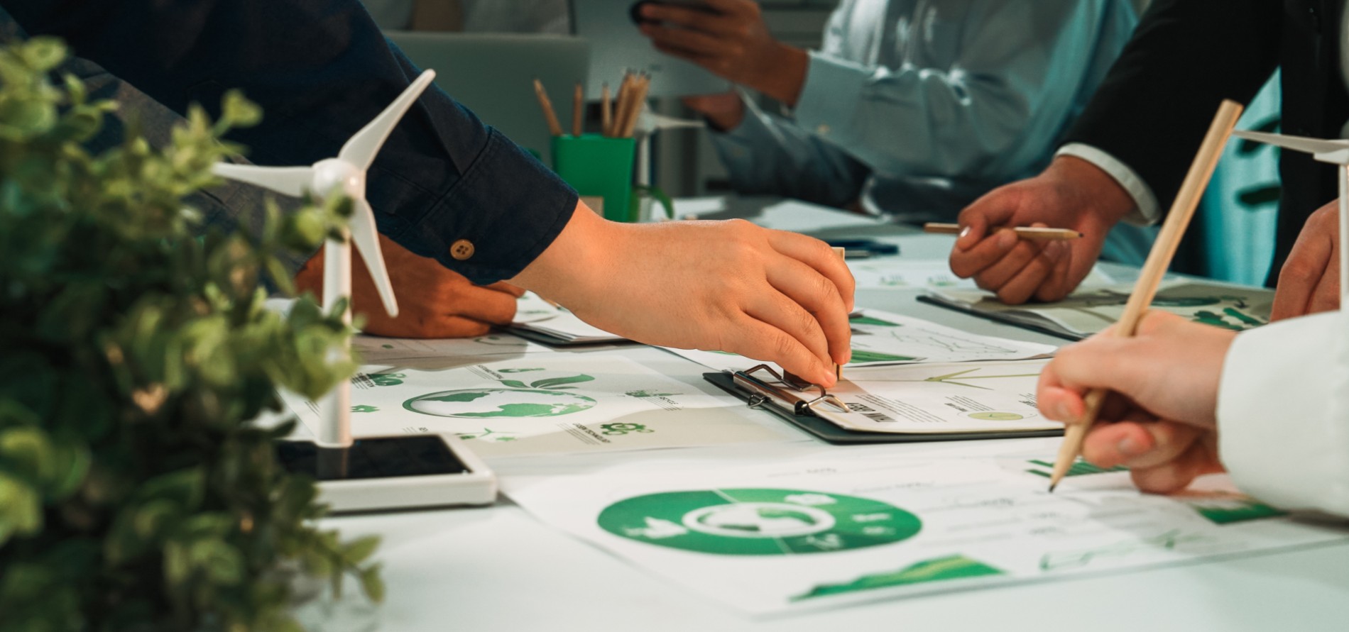 ecovadis case study featured image